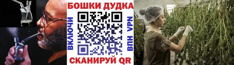 Где купить Куровское A-PVP  Псилоцибиновые грибы  MDMA  Амфетамин  Каннабис  Кокаин  МЕФ 