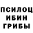Бошки Шишки планчик Alj Alibek