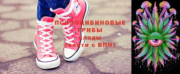 стафф Алзамай