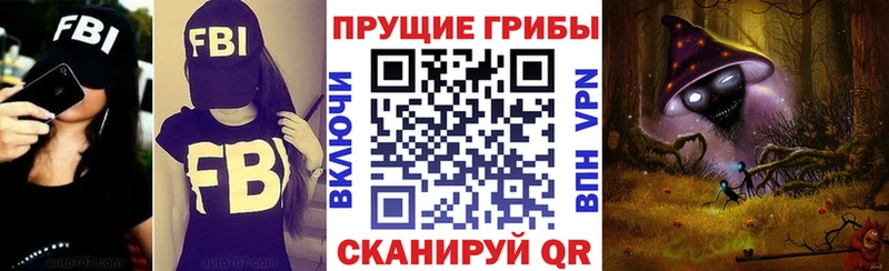 Псилоцибиновые грибы MAGIC MUSHROOMS mega ONION Куровское где продают